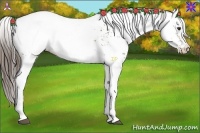 Horse Color:White Spotted Liver Chestnut Blanket 