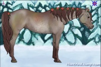 Horse Color:Chocolate Grullo 