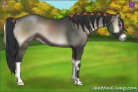 Horse Color:Blue Onyx 