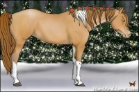 Horse Color:Bay Pearl Tobiano 