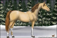 Horse Color:Bay Pearl Dun Tobiano 