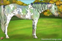Horse Color:Nacre Watercolor White Spotted Chestnut 