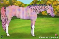 Horse Color:Nacre Watercolor Red Dun 
