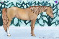 Horse Color:Gold Champagne 
