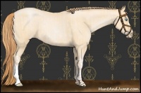 Horse Color:Buckskin Roan Pearl  and Buckskin Roan Pearl 