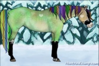 Horse Color:Painted Buckskin Dun Splash Rabicano