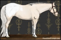 Horse Color:Silver Buckskin Pearl Snowcap 