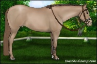 Horse Color:Black Pearl 