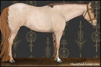Horse Color:Red Roan Pearl
