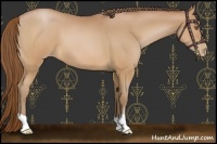 Horse Color:Brown Pearl 