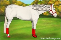 Horse Color:Smoky Creme Roan Dun 