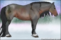 Horse Color:Brown Ice 