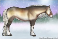 Horse Color:Liver Red Onyx Rabicano