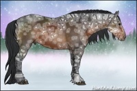 Horse Color:Brown Ice Rabicano 