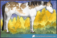 Horse Color:White Spotted Buckskin Dun Splash 