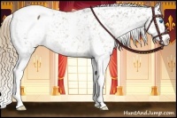 Horse Color:Liver Chestnut Splash Appaloosa 