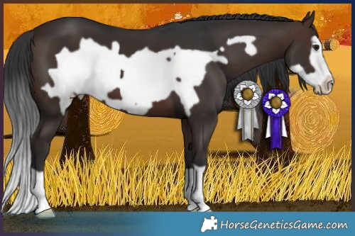 Horse Color:Brown Frame 