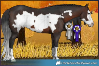 Horse Color:Brown Frame 