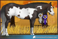 Horse Color:Brown Frame