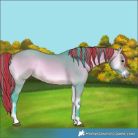 Horse Color:Painted Watercolor Bay Onyx 