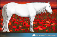 Horse Color:Smoky Blue Roan Splash Frame Fewspot