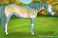 Horse Color:Painted Watercolor Bay Onyx 