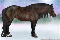 Horse Color:Brown Ice Sabino