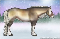 Horse Color:Liver Red Onyx