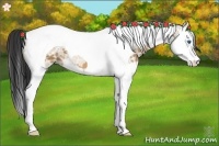 Horse Color:Bay Ice Dun Splash Tobiano