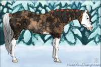 Horse Color:Bay Ice Roan Splash Rabicano