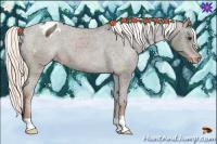 Horse Color:Liver Chestnut Mushroom Varnish 