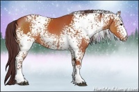 Horse Color:White Spotted Chocolate Brown 