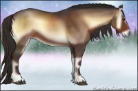 Horse Color:Liver Red Onyx