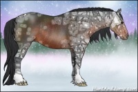 Horse Color:Brown Ice Rabicano 