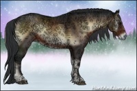 Horse Color:Brown Ice Onyx Rabicano 