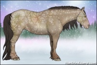 Horse Color:Classic Champagne Ice Rabicano 