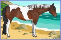 Horse Color:Bay Tobiano Varnish Rabicano 