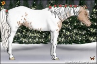 Horse Color:Silver Black Pearl Tobiano Appaloosa 