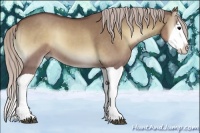 Horse Color:Chocolate Silver Grullo Onyx Splash