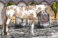Horse Color:White Spotted Liver Chestnut Pearl 