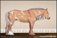 Horse Color:Watercolor White Spotted Silver Bay Dun 