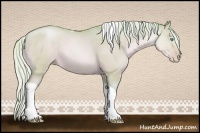 Horse Color:Watercolor Silver Buckskin Pearl Dun Tobiano 