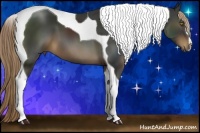 Horse Color:Liver Chestnut Sabino Tobiano 