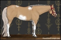 Horse Color:Silver Bay Dun Sabino Tobiano Frame Rabicano