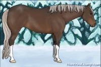 Horse Color:Silver Brown 