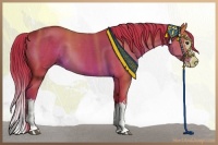 Horse Color:Watercolor White Spotted Liver Chestnut Splash 