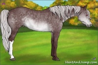 Horse Color:Chocolate Silver Brown Chinchilla 