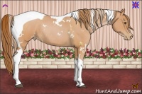 Horse Color:White Spotted Bay Pearl Tobiano Rabicano