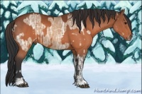 Horse Color:Brown Ice Dun  and Brown 