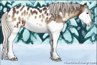 Horse Color:Silver Blue Onyx Splash Appaloosa